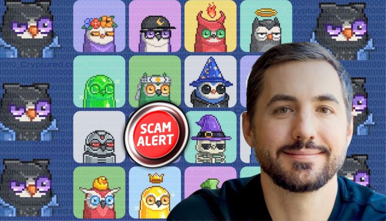 Co-Founder of Moonbirds NFT Collection Latest Victim of Phishing Scam.