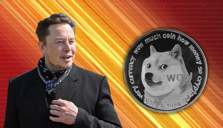 Elon Musk warns and schools investors not to ‘bet the farm on Dogecoin’.