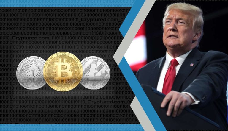 Former US President Trump Holds Around $500,000 In Digital Assets.