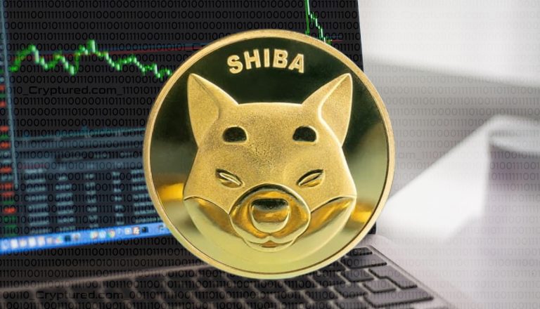 Shiba Inu Price and Burn Rate Decline: Is It Time to Sell?
